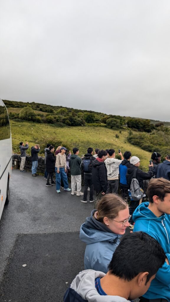 cliffs-of-moher-14-09-24 (1)